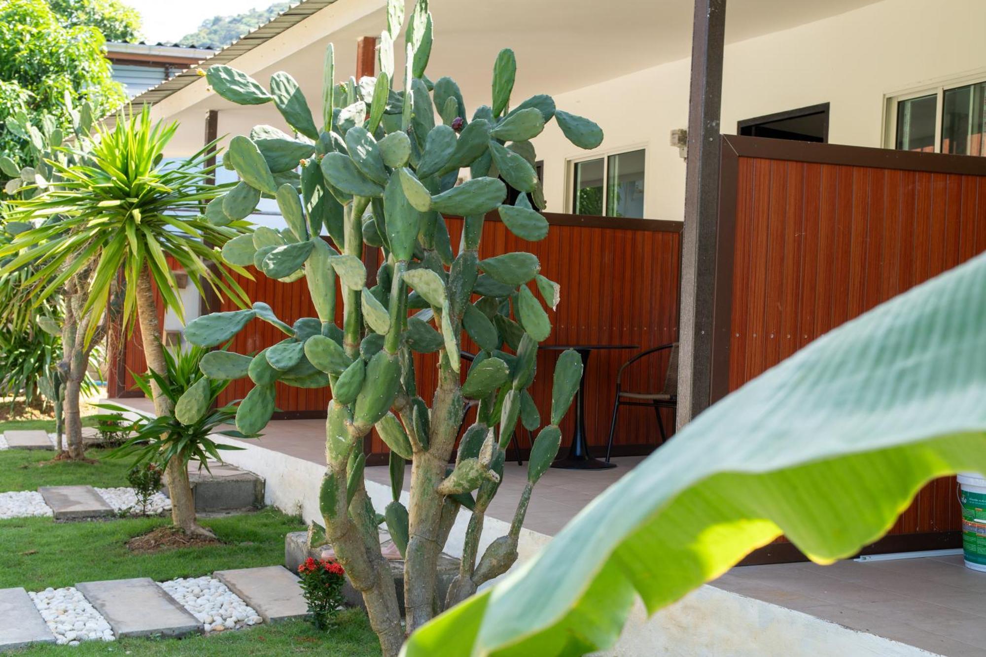 Chill Out Resort Ko Lanta Esterno foto